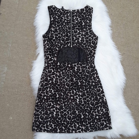 Felicity & Coco Leopard Print Shift cut out Dress - Picture 1 of 4